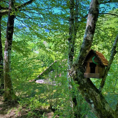 Kuca Homer Chalet