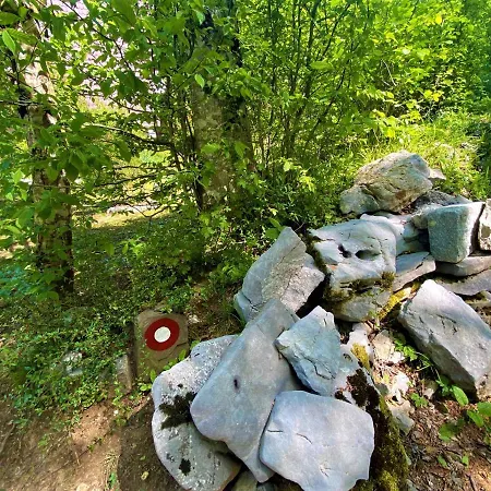 Kuca Homer Chalet